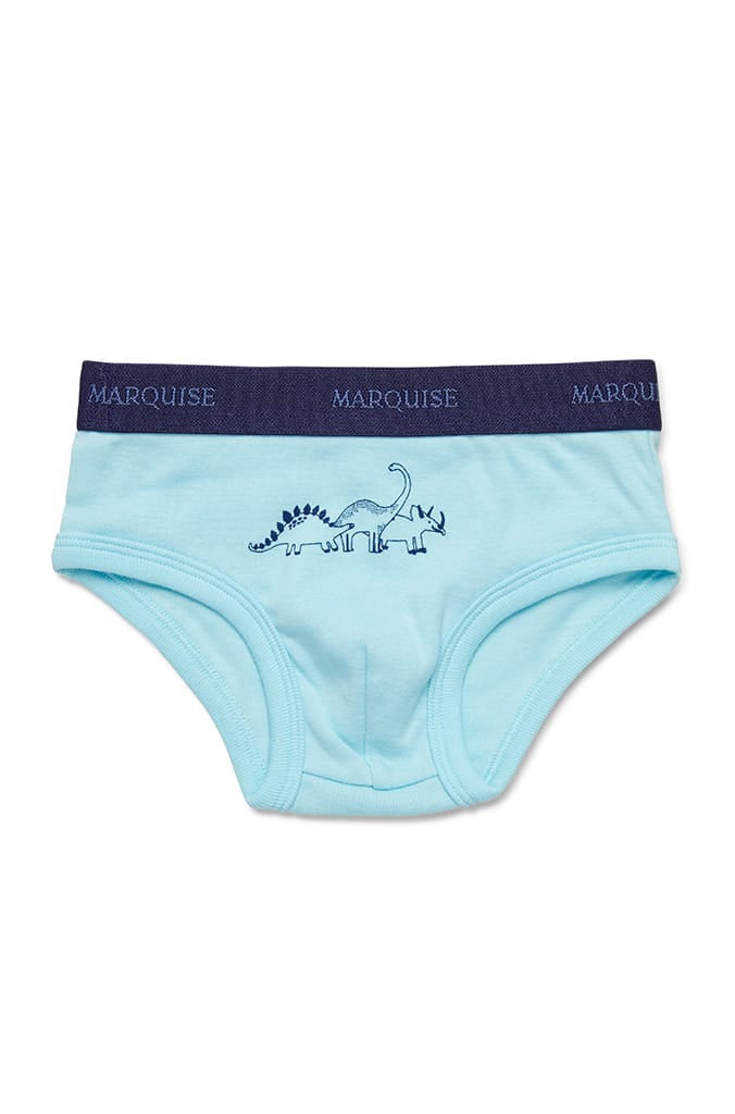 Boys Dinosaurs Underwear 2 Pack – Marquise