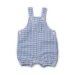 Blue Gingham Overall